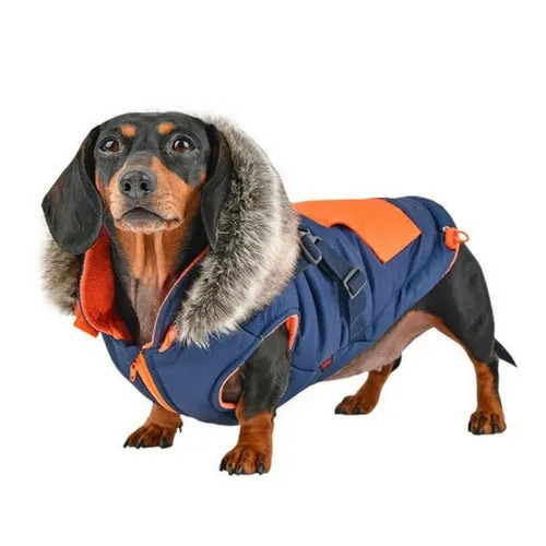 Orson Coat